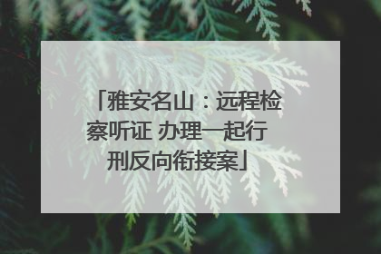 雅安名山：远程检察听证 办理一起行刑反向衔接案